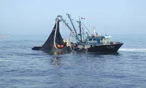 acosep mar chimbote pesca